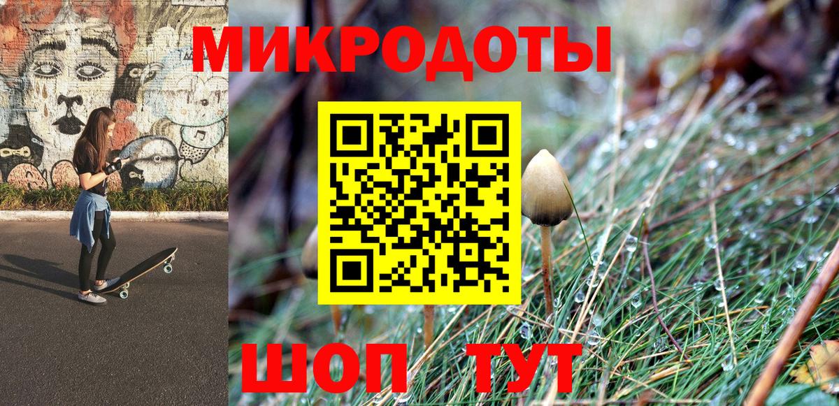 Галлюциногенные грибы Psilocybine cubensis Чусовой
